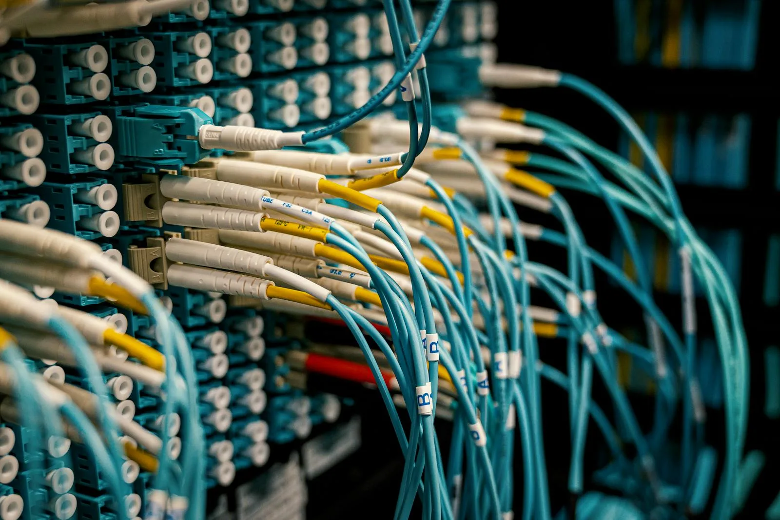 Close-up of patch panel with blue fibre optic cables and labelled connectors