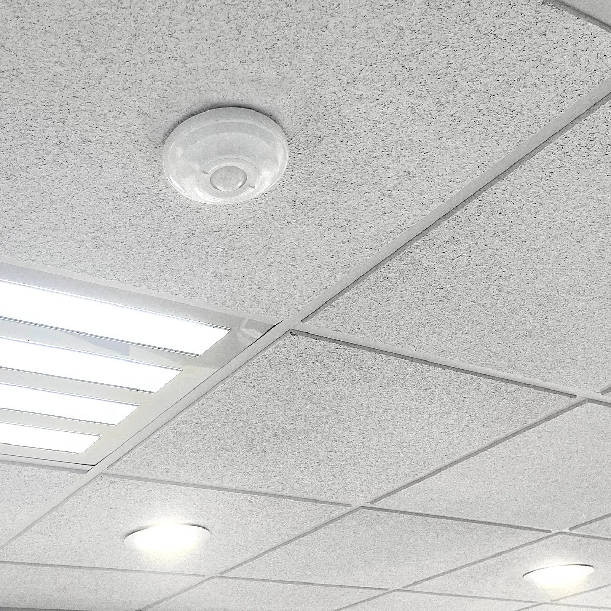 Ceiling-mounted occupancy sensor among office ceiling tiles and lights